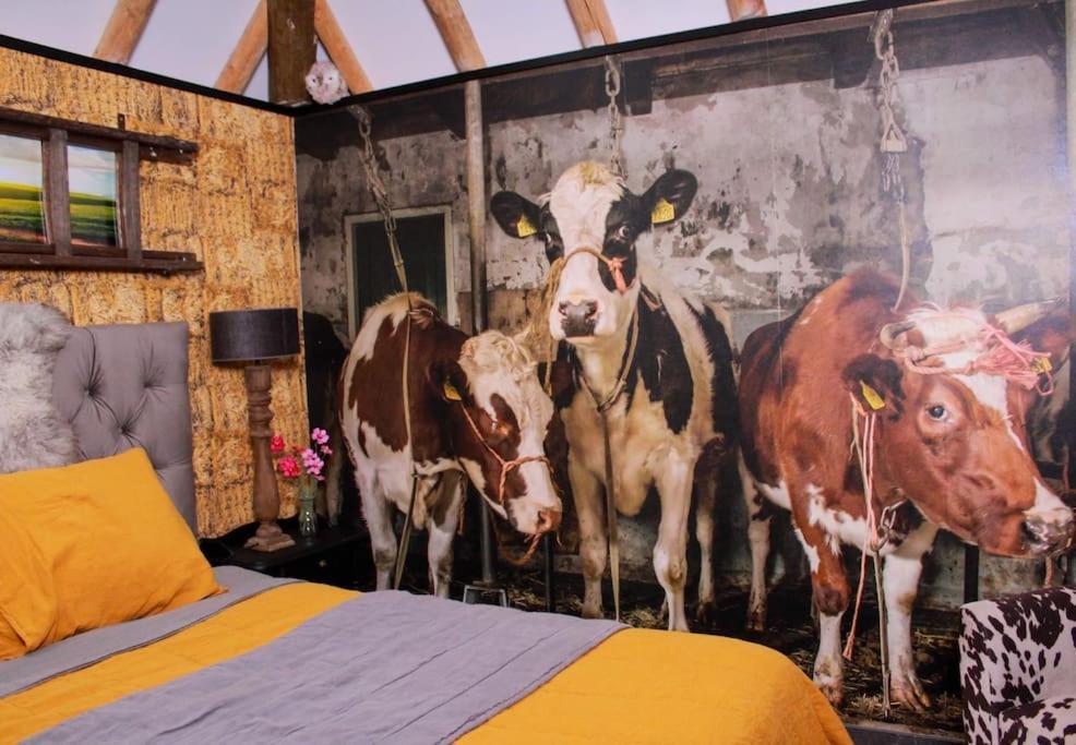 Holiday home De Witte Weide Nieuwlande
